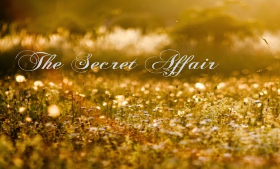 Secret Affair Logo